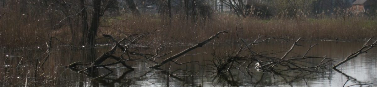 Diedersdorfer Angelverein e.V.